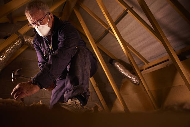 Best Insulation Maintenance and Repair in Clifton, NJ